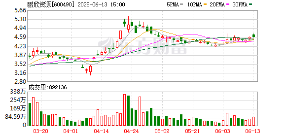 658配资 鹏欣资源：董事、总裁张素伟离任