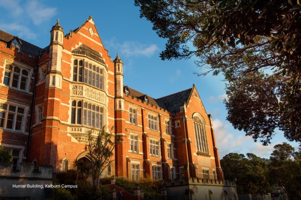 大旗策略 新西兰发布对华签证便利举措，旅游平台搜索量1小时猛增70%