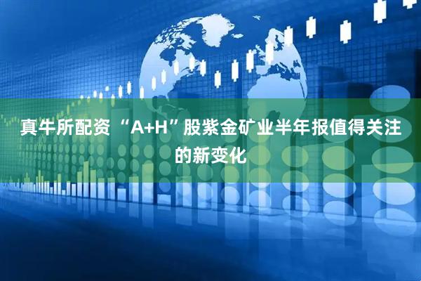 真牛所配资 “A+H”股紫金矿业半年报值得关注的新变化