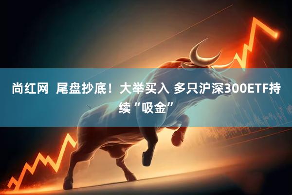 尚红网  尾盘抄底！大举买入 多只沪深300ETF持续“吸金”